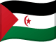 Флаг Сахарской Арабской Демократической Республики